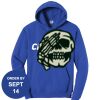 Carroll - Core Fleece Pullover Hooded Sweatshirt Thumbnail